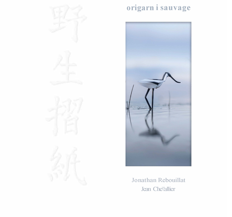 ORIGAMI SAUVAGE