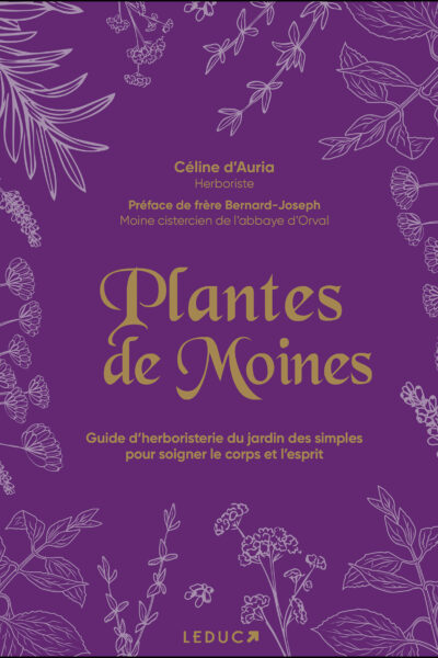 PLANTES DES MOINES