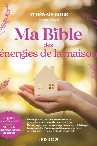 MA BIBLE DES ENERGIES DE LA MAISON