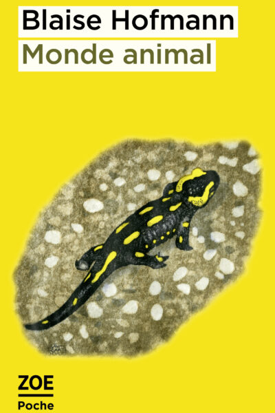 MONDE ANIMAL