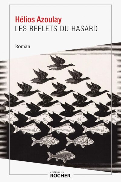 LES REFLETS DU HASARD