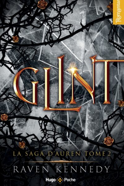 LA SAGA D'AUREN T02 GLINT