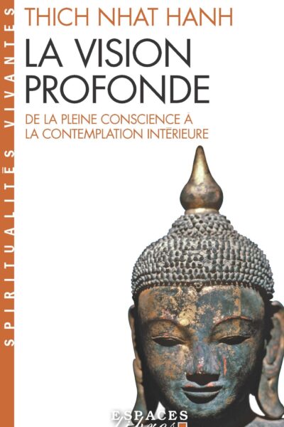LA VISION PROFONDE - DE LA PLEINE CONSCIENCE A LA CONTEMPLATION INTERIEURE