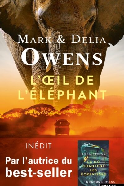 L'OEIL DE L'ELEPHANT