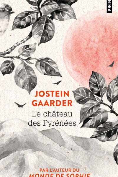 LE CHATEAU DES PYRENEES