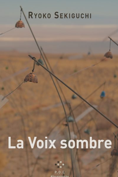 LA VOIX SOMBRE