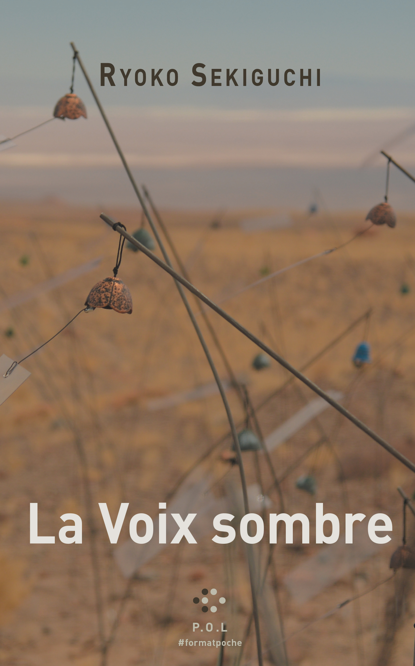 LA VOIX SOMBRE