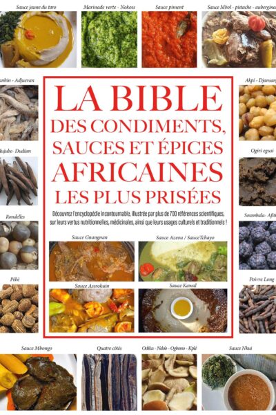 LA BIBLE DES CONDIMENTS, SAUCES ET ÉPICES AFRICAINES LES PLUS PRISÉES