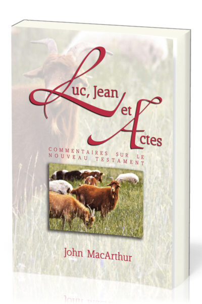 LUC JEAN ET ACTES   COMMENTAIRES SU N.T.