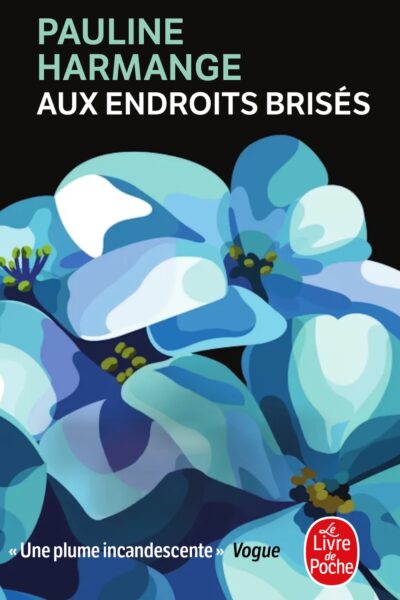 AUX ENDROITS BRISES