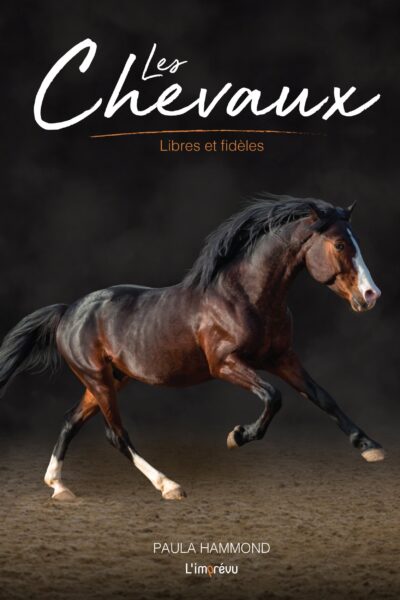 LES CHEVAUX - LIBRES ET FIDELES