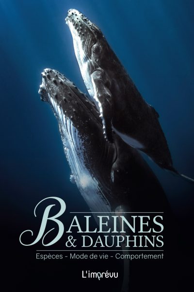 BALEINES ET DAUPHINS