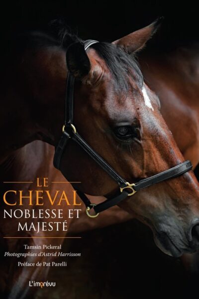 LE CHEVAL, NOBLESSE ET MAJESTE