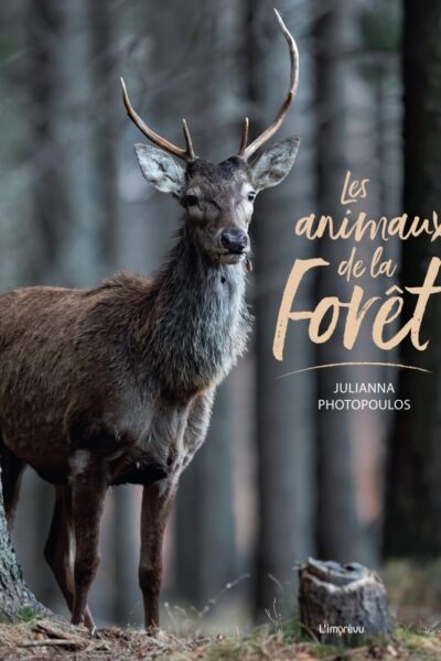 LES ANIMAUX DE LA FORET