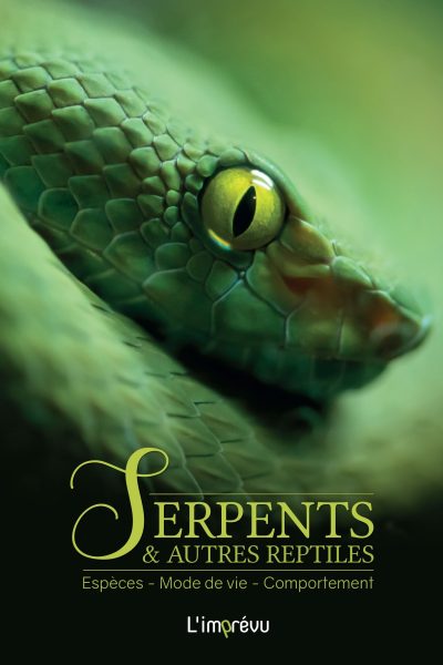 SERPENTS ET AUTRES REPTILES. ESPECES, MODE DE VIE, COMPORTEMENT
