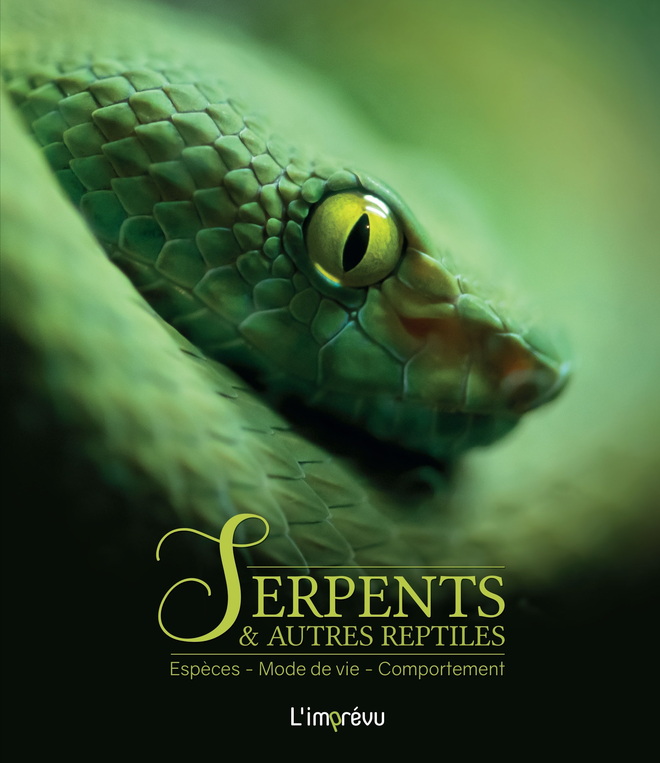 SERPENTS ET AUTRES REPTILES. ESPECES, MODE DE VIE, COMPORTEMENT