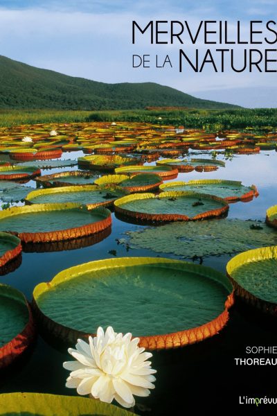 MERVEILLES DE LA NATURE