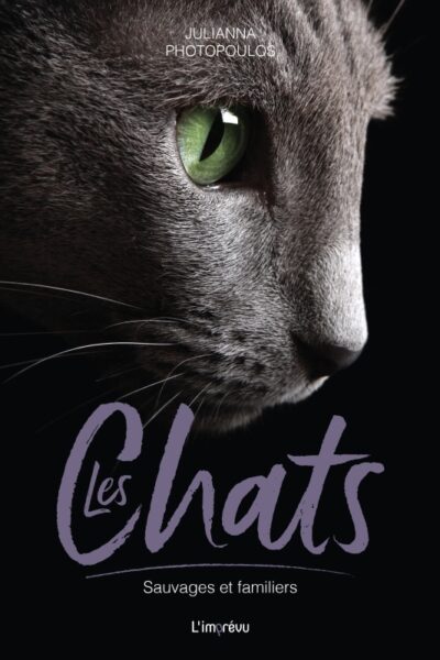 LES CHATS - SAUVAGES ET FAMILIERS