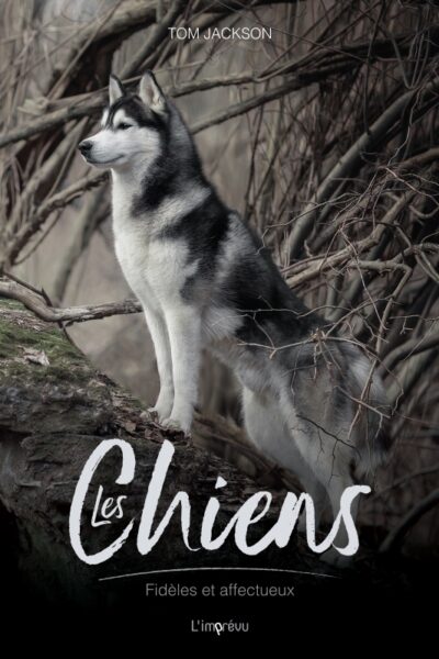 LES CHIENS - FIDELES ET COURAGEUX