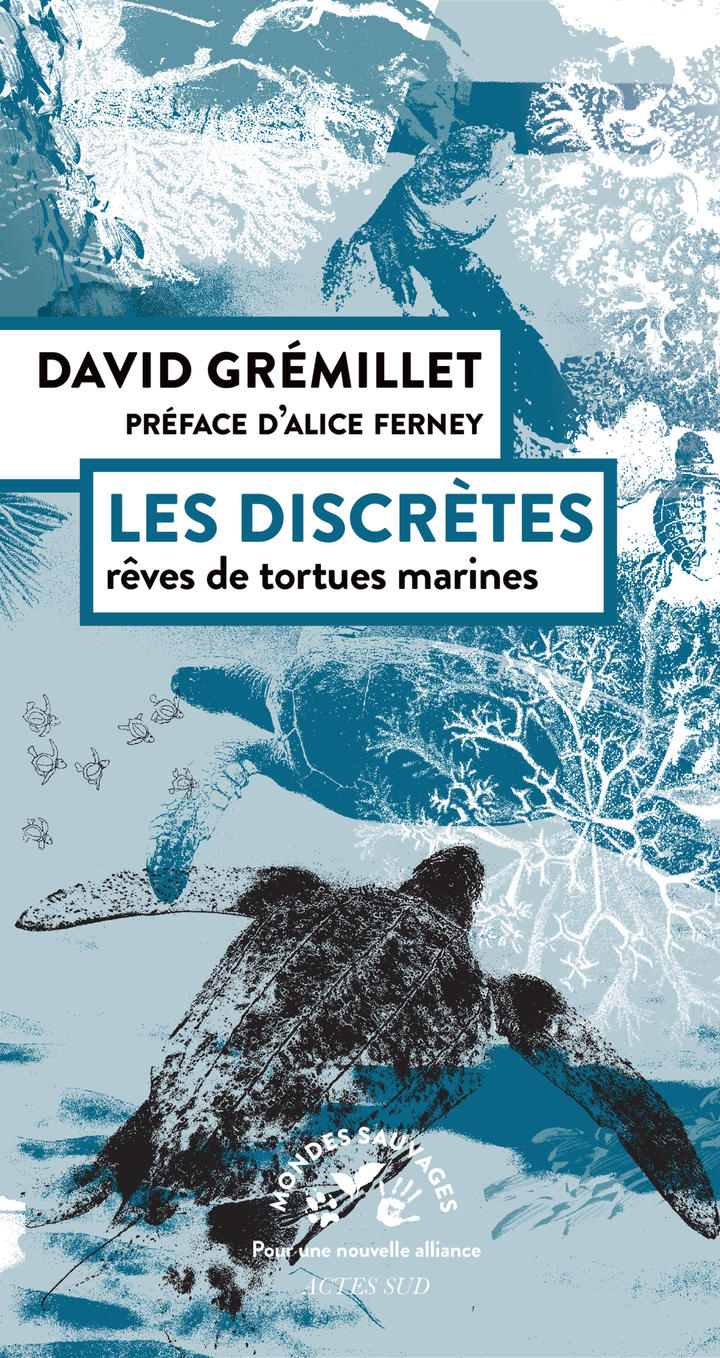 LES DISCRETES