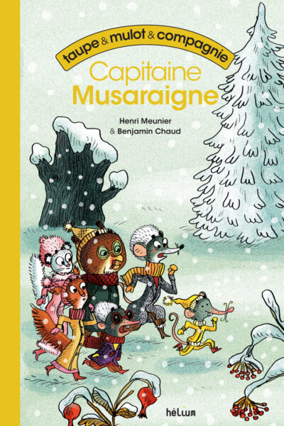 TAUPE ET MULOT ET COMPAGNIE 2 - CAPITAINE MUSARAIGNE