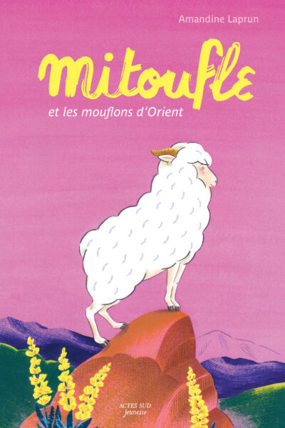 MITOUFLE ET LES MOUFLONS D ORIENT