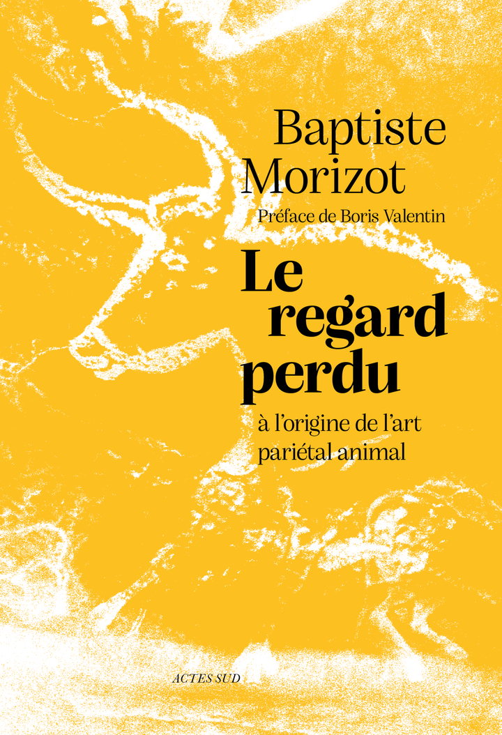 LE REGARD PERDU