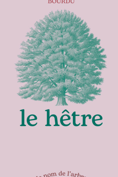LE HÊTRE
