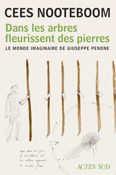 DANS LES ARBRES FLEURISSENT DES PIERRES