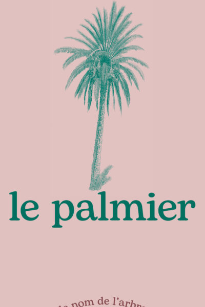 LE PALMIER