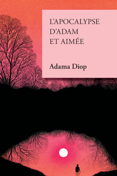 L'APOCALYPSE D'ADAM ET AIMEE