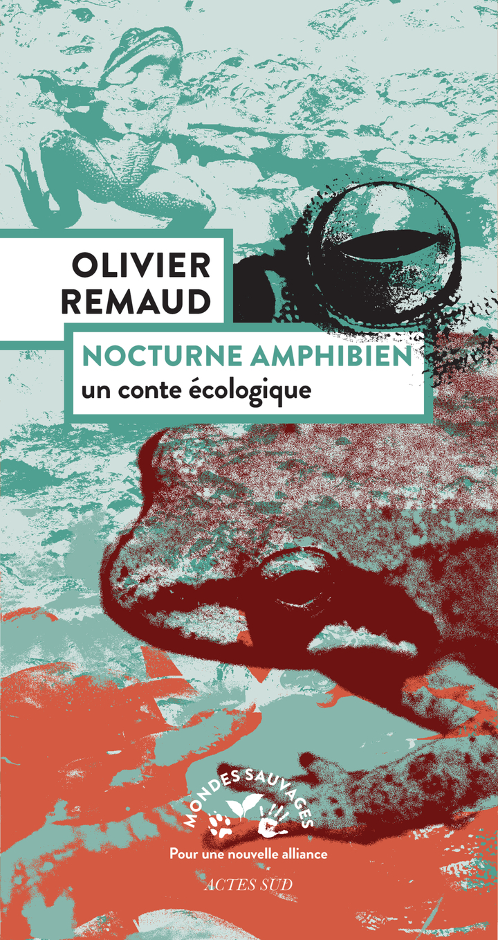 NOCTURNE AMPHIBIEN