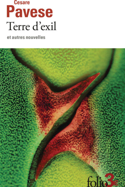 TERRE D'EXIL ET AUTRES NOUVELLES
