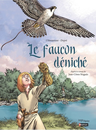 LE FAUCON DENICHE