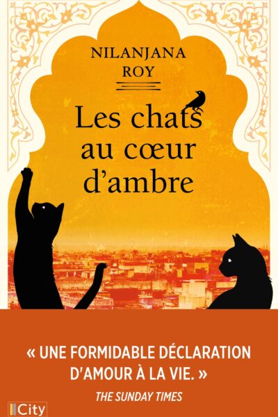 LES CHATS AU COEUR D'AMBRE