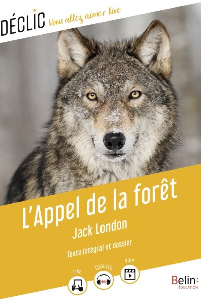 L'APPEL DE LA FORET