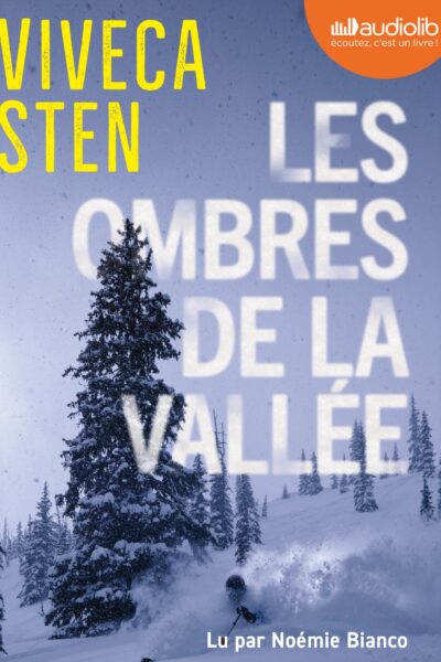 LES OMBRES DE LA VALLEE - LIVRE AUDIO 2 CD MP3