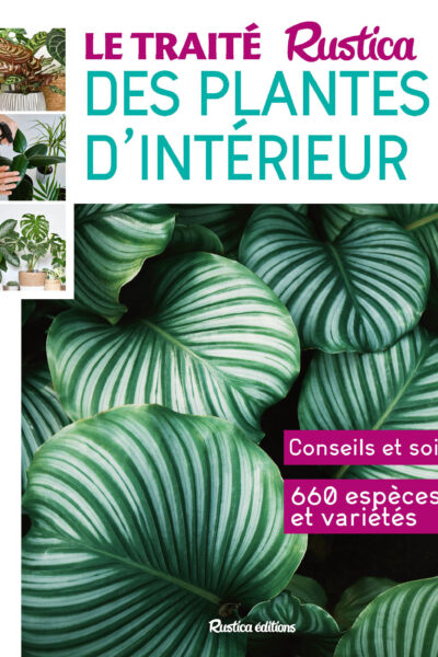 LE TRAITE RUSTICA DES PLANTES D'INTERIEUR