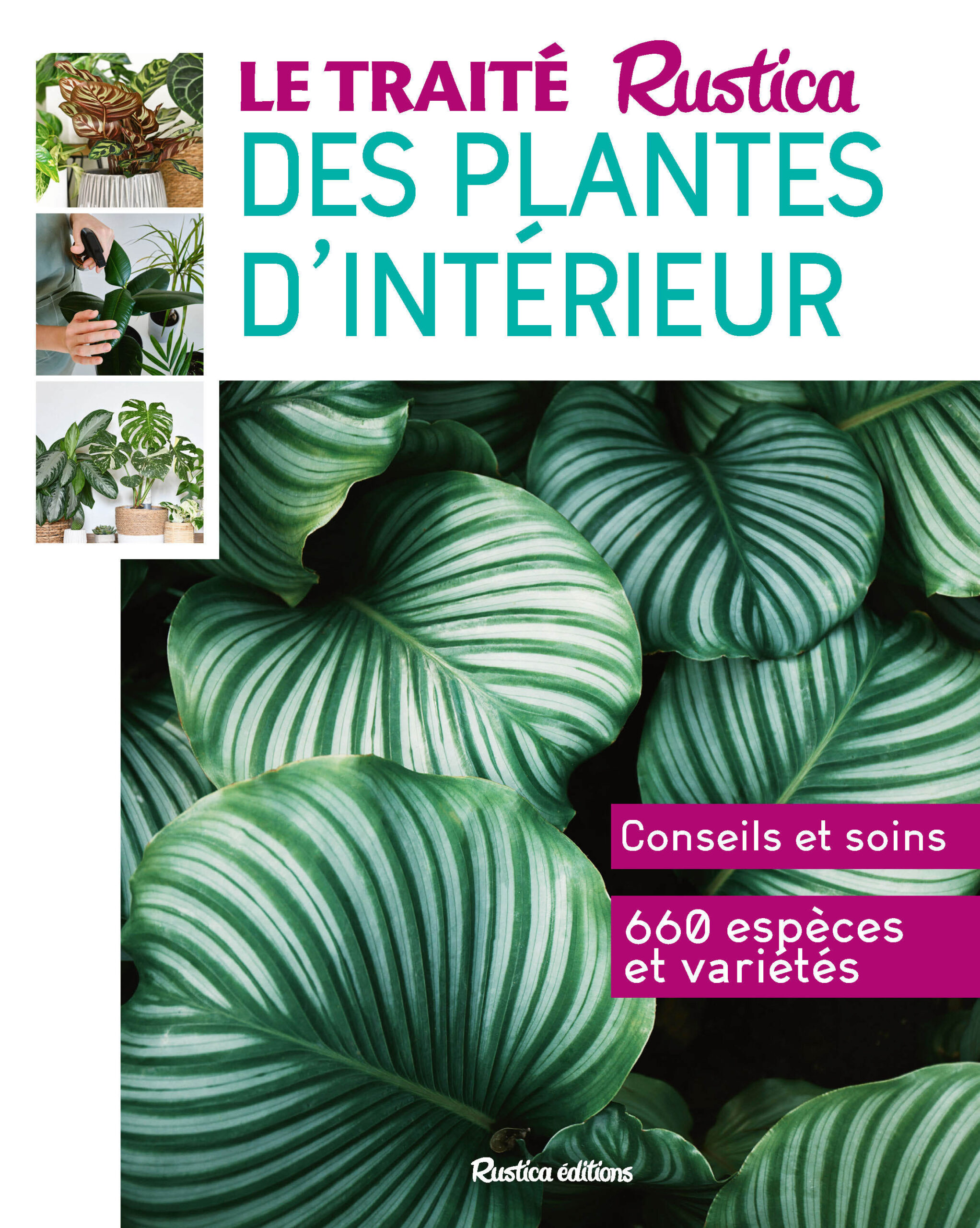 LE TRAITE RUSTICA DES PLANTES D'INTERIEUR