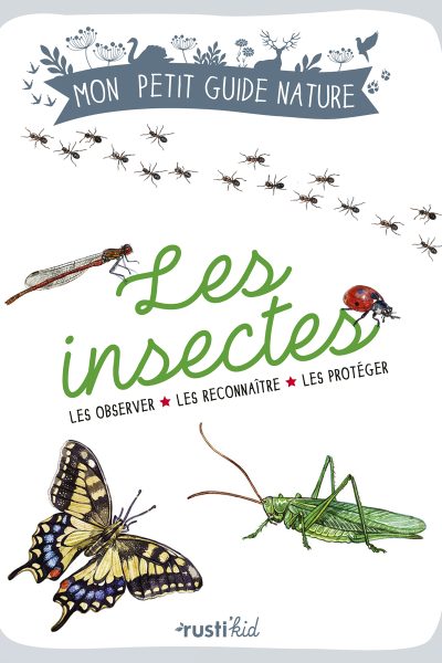 LES INSECTES