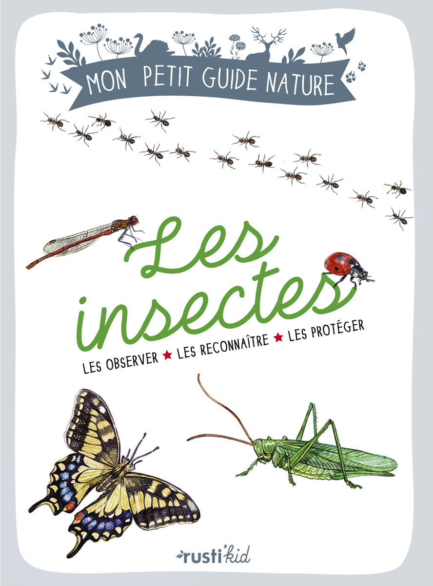 LES INSECTES