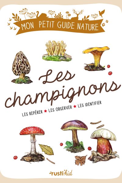 LES CHAMPIGNONS