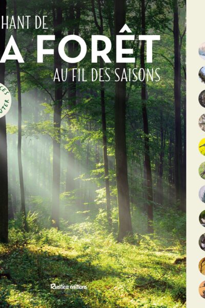 LE CHANT DE LA FORÊT AU FIL DES SAISONS