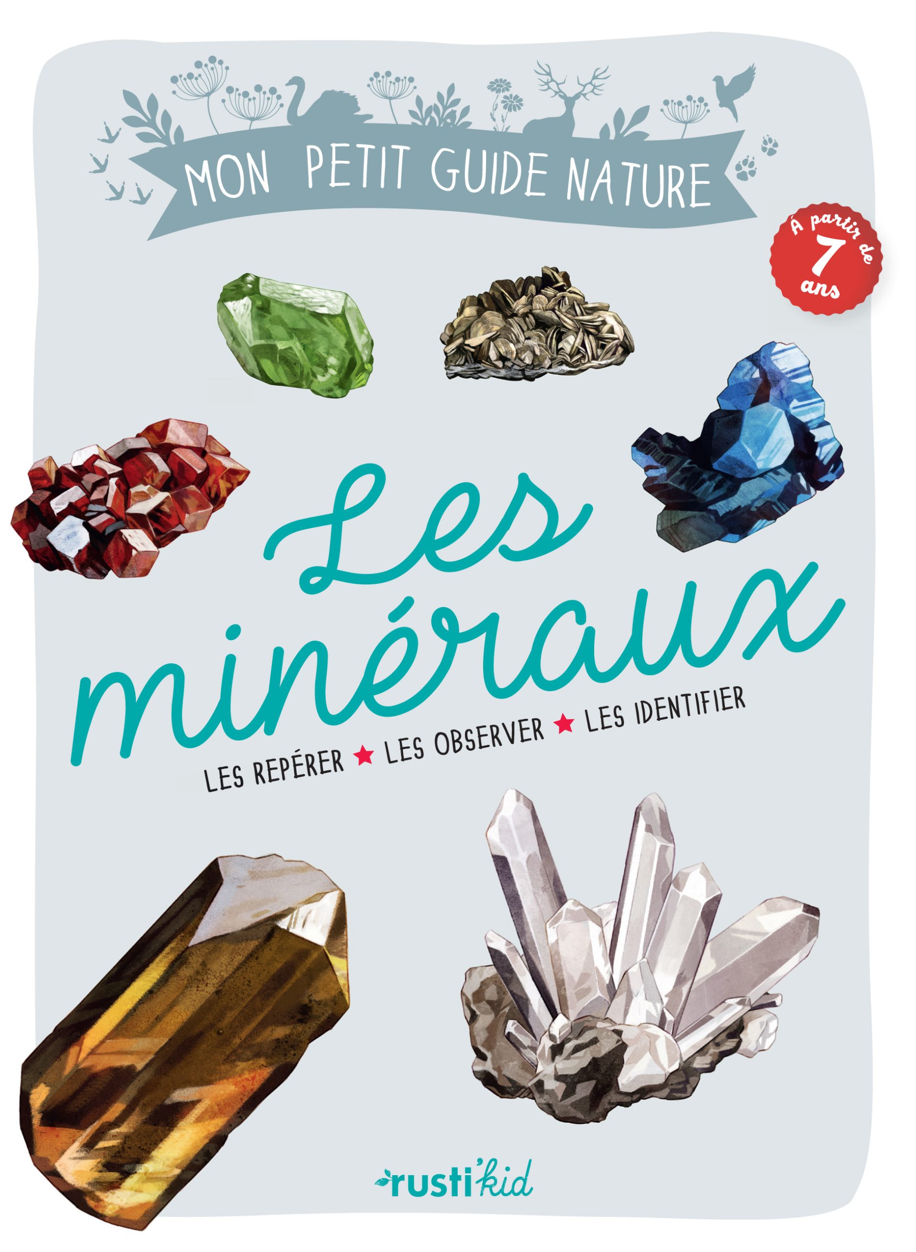 LES MINERAUX MON PETIT GUIDE NATURE