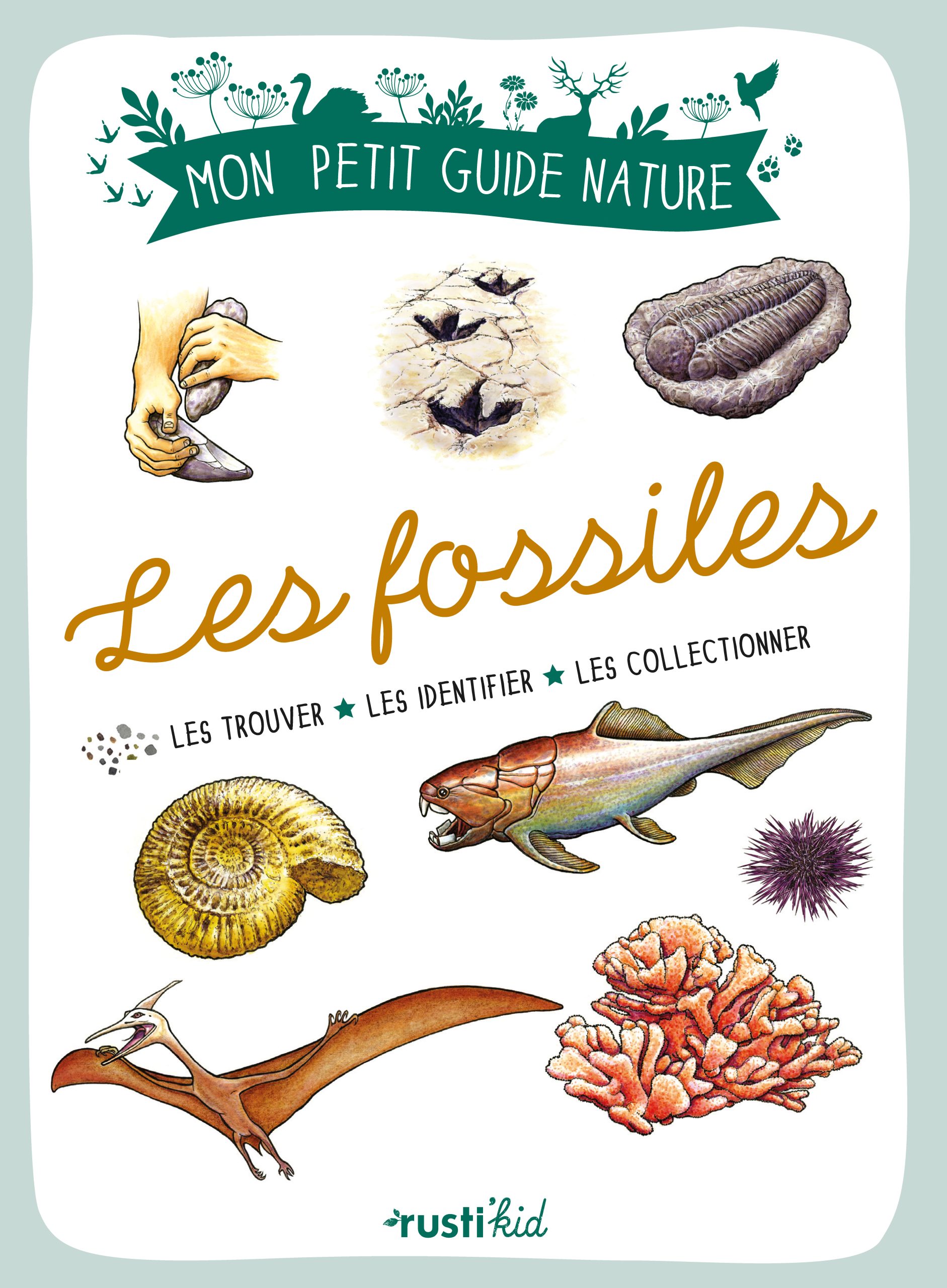 LES FOSSILES