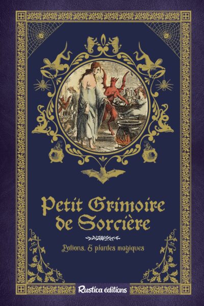 PETIT GRIMOIRE DE SORCIERE - POTIONS & PLANTES MAGIQUES