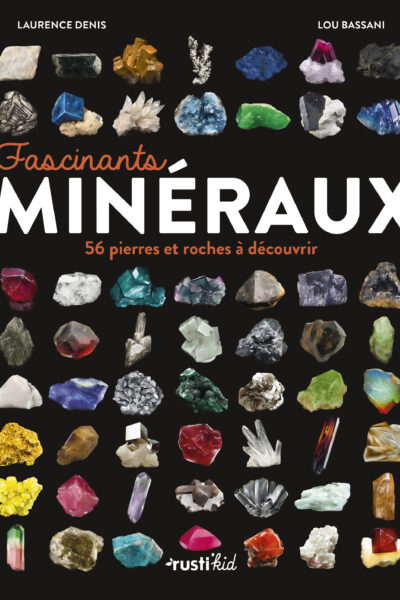 FASCINANTS MINERAUX 56 PIERRES ET ROCHES A DECOUVRIR
