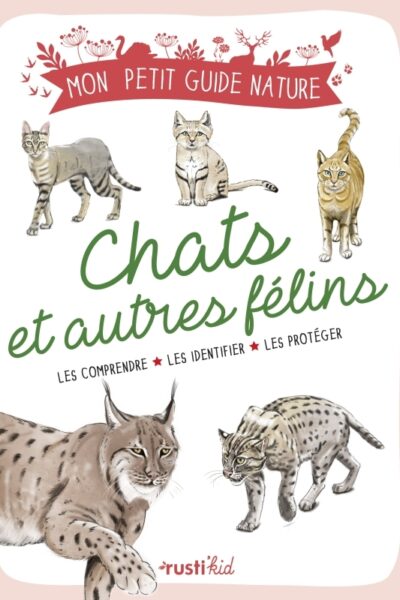 LES CHATS ET FELINS