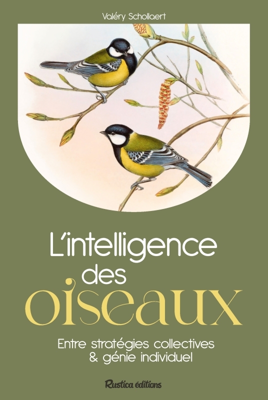 L'INTELLIGENCE DES OISEAUX : ENTRE STRATEGIES COLLECTIVES & GENIE INDIVIDUEL