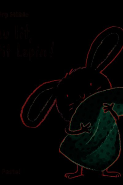 AU LIT, PETIT LAPIN ! TOUT CARTON